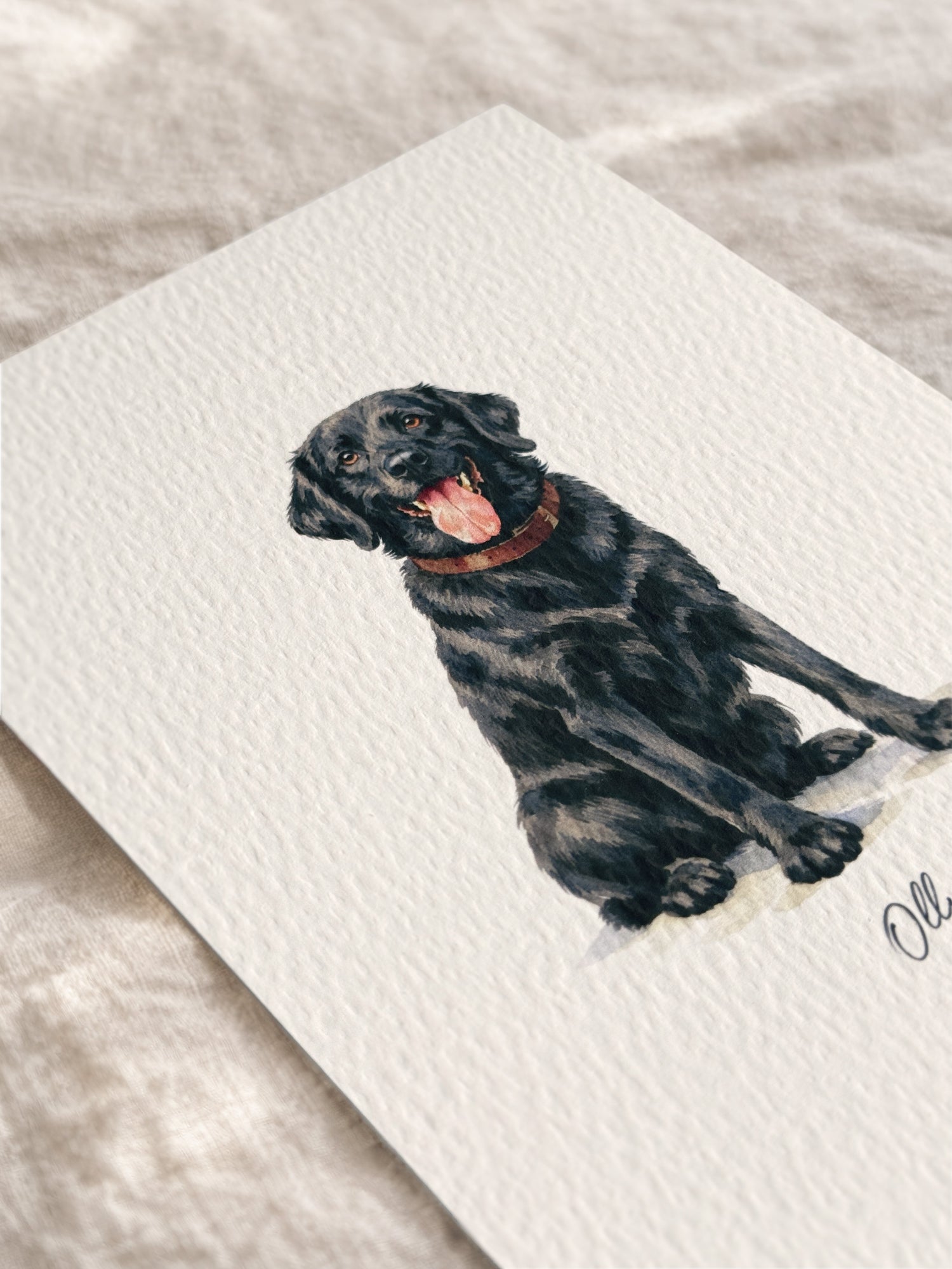 Art Prints & Pet Portraits