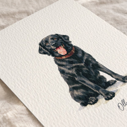 Custom Watercolour Pet Portrait, 5 x 7"
