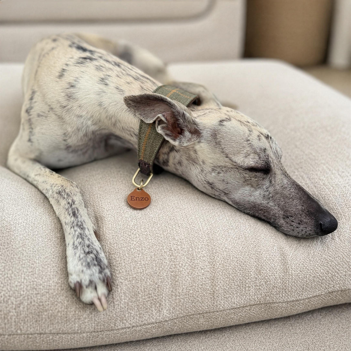 Personalised Leather Dog ID Tag – Italian Leather, Double-Sided Engraved Tag