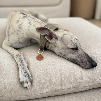 Personalised Leather Dog ID Tag – Italian Leather, Double-Sided Engraved Tag